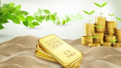 amazing-benefits-of-investing-in-baby-golden-coin