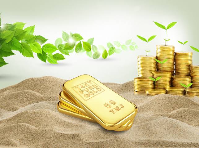 amazing-benefits-of-investing-in-baby-golden-coin