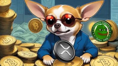 prominent-crypto-investor-who-offloaded-$700,000-pepe-coin-(pepe)-and-ripple-(xrp)-before-recent-market-slump-is-buying-a-new-coin-and-you-should-pay-attention